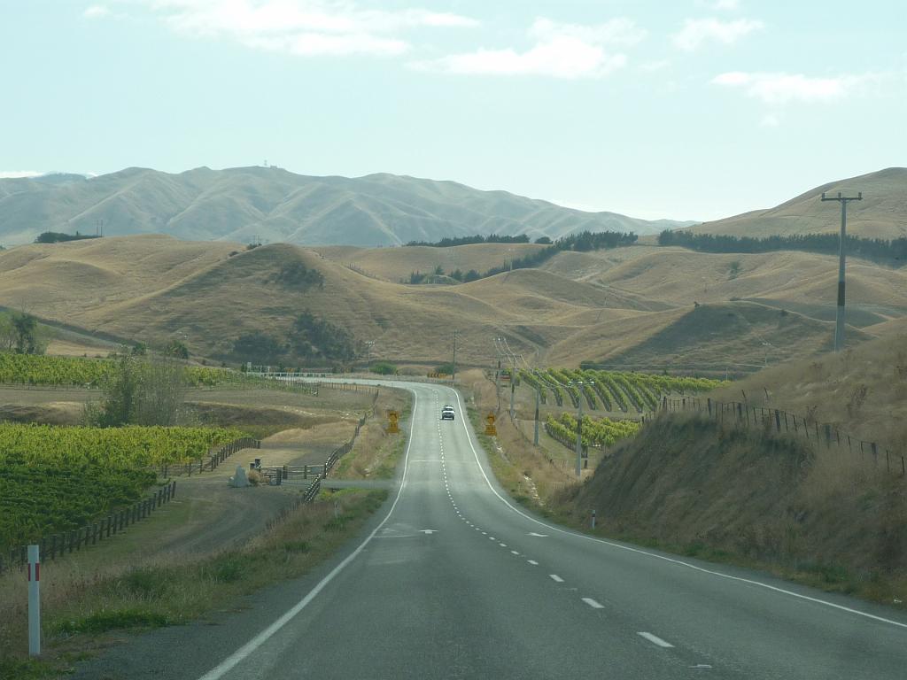 New_Zealand (721).JPG
